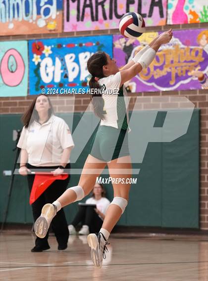 Thumbnail 1 in Stratford vs. Vandegrift (UIL 6A Volleyball Division II Semifinal) photogallery.