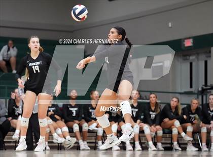 Thumbnail 3 in Stratford vs. Vandegrift (UIL 6A Volleyball Division II Semifinal) photogallery.