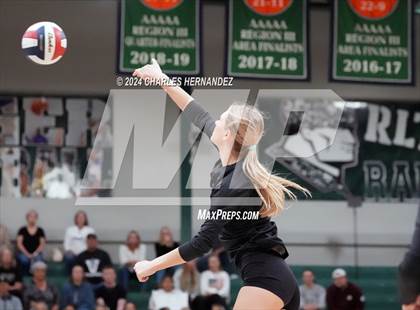 Thumbnail 1 in Stratford vs. Vandegrift (UIL 6A Volleyball Division II Semifinal) photogallery.