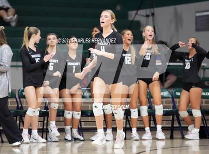 Thumbnail 1 in Stratford vs. Vandegrift (UIL 6A Volleyball Division II Semifinal) photogallery.