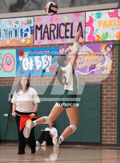 Thumbnail 3 in Stratford vs. Vandegrift (UIL 6A Volleyball Division II Semifinal) photogallery.