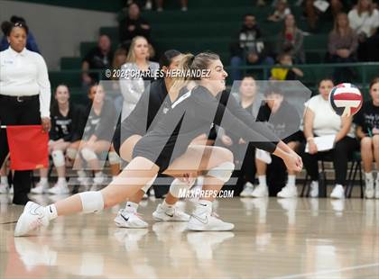 Thumbnail 3 in Stratford vs. Vandegrift (UIL 6A Volleyball Division II Semifinal) photogallery.