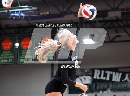 Thumbnail 3 in Stratford vs. Vandegrift (UIL 6A Volleyball Division II Semifinal) photogallery.