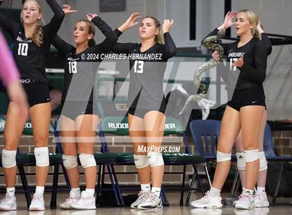 Thumbnail 2 in Stratford vs. Vandegrift (UIL 6A Volleyball Division II Semifinal) photogallery.