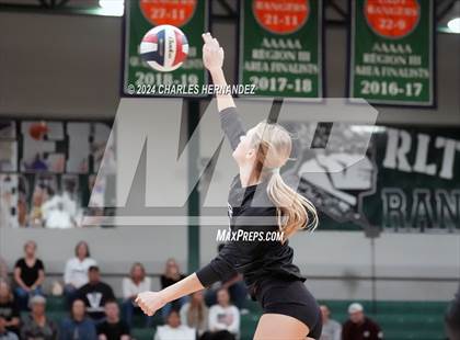 Thumbnail 3 in Stratford vs. Vandegrift (UIL 6A Volleyball Division II Semifinal) photogallery.
