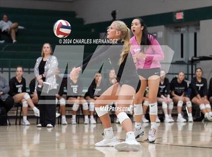 Thumbnail 3 in Stratford vs. Vandegrift (UIL 6A Volleyball Division II Semifinal) photogallery.