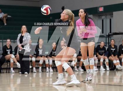 Thumbnail 2 in Stratford vs. Vandegrift (UIL 6A Volleyball Division II Semifinal) photogallery.