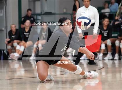 Thumbnail 3 in Stratford vs. Vandegrift (UIL 6A Volleyball Division II Semifinal) photogallery.