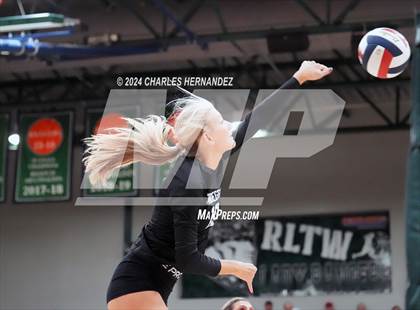 Thumbnail 1 in Stratford vs. Vandegrift (UIL 6A Volleyball Division II Semifinal) photogallery.