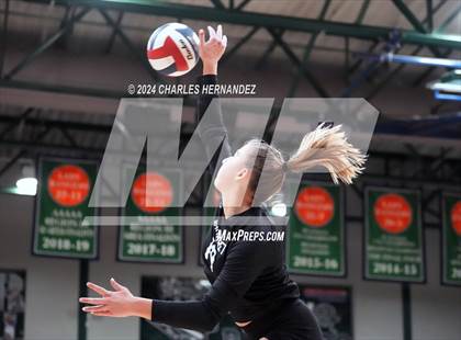 Thumbnail 1 in Stratford vs. Vandegrift (UIL 6A Volleyball Division II Semifinal) photogallery.