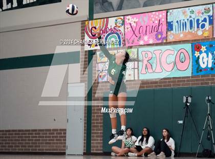 Thumbnail 1 in Stratford vs. Vandegrift (UIL 6A Volleyball Division II Semifinal) photogallery.
