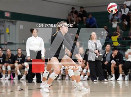 Thumbnail 1 in Stratford vs. Vandegrift (UIL 6A Volleyball Division II Semifinal) photogallery.