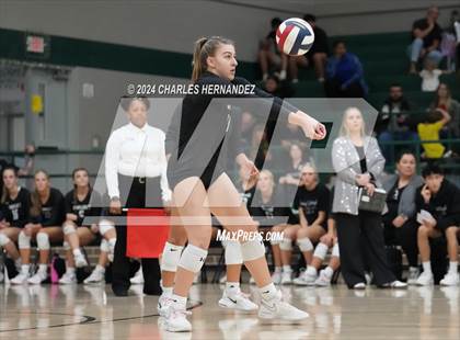 Thumbnail 2 in Stratford vs. Vandegrift (UIL 6A Volleyball Division II Semifinal) photogallery.