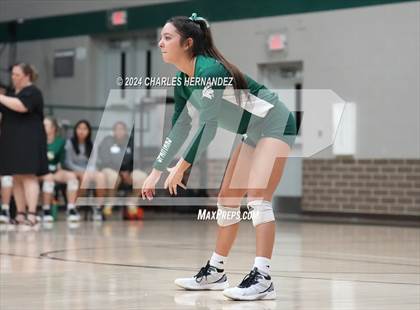 Thumbnail 2 in Stratford vs. Vandegrift (UIL 6A Volleyball Division II Semifinal) photogallery.