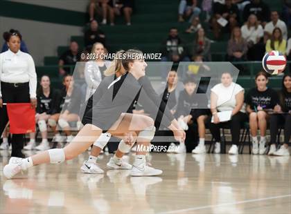 Thumbnail 2 in Stratford vs. Vandegrift (UIL 6A Volleyball Division II Semifinal) photogallery.