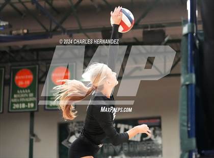 Thumbnail 1 in Stratford vs. Vandegrift (UIL 6A Volleyball Division II Semifinal) photogallery.