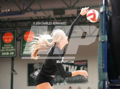 Thumbnail 2 in Stratford vs. Vandegrift (UIL 6A Volleyball Division II Semifinal) photogallery.