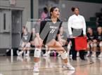 Photo from the gallery "Stratford vs. Vandegrift (UIL 6A Volleyball Division II Semifinal)"