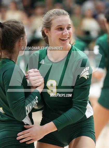 Thumbnail 1 in Stratford vs. Vandegrift (UIL 6A Volleyball Division II Semifinal) photogallery.
