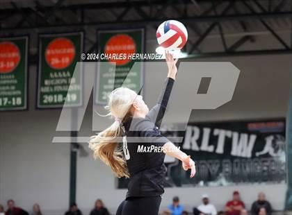 Thumbnail 3 in Stratford vs. Vandegrift (UIL 6A Volleyball Division II Semifinal) photogallery.