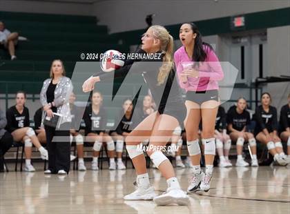 Thumbnail 1 in Stratford vs. Vandegrift (UIL 6A Volleyball Division II Semifinal) photogallery.
