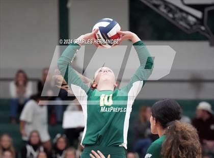Thumbnail 1 in Stratford vs. Vandegrift (UIL 6A Volleyball Division II Semifinal) photogallery.