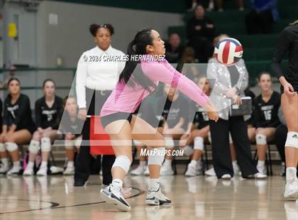 Thumbnail 2 in Stratford vs. Vandegrift (UIL 6A Volleyball Division II Semifinal) photogallery.