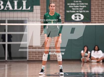 Thumbnail 3 in Stratford vs. Vandegrift (UIL 6A Volleyball Division II Semifinal) photogallery.