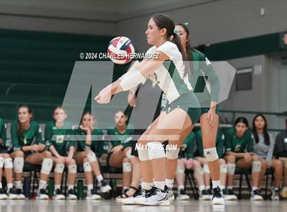 Thumbnail 3 in Stratford vs. Vandegrift (UIL 6A Volleyball Division II Semifinal) photogallery.