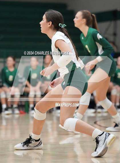 Thumbnail 3 in Stratford vs. Vandegrift (UIL 6A Volleyball Division II Semifinal) photogallery.