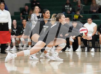 Thumbnail 1 in Stratford vs. Vandegrift (UIL 6A Volleyball Division II Semifinal) photogallery.