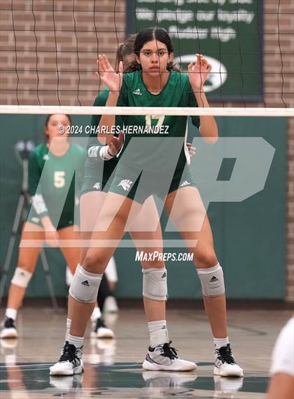 Thumbnail 2 in Stratford vs. Vandegrift (UIL 6A Volleyball Division II Semifinal) photogallery.