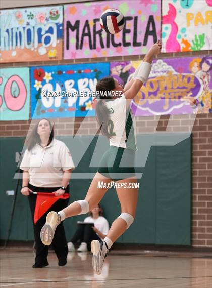 Thumbnail 2 in Stratford vs. Vandegrift (UIL 6A Volleyball Division II Semifinal) photogallery.