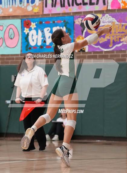 Thumbnail 3 in Stratford vs. Vandegrift (UIL 6A Volleyball Division II Semifinal) photogallery.