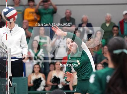 Thumbnail 3 in Stratford vs. Vandegrift (UIL 6A Volleyball Division II Semifinal) photogallery.