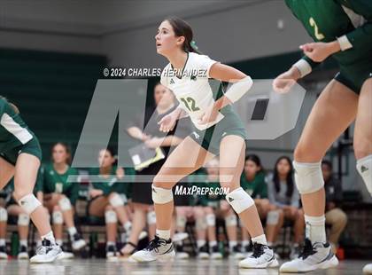 Thumbnail 3 in Stratford vs. Vandegrift (UIL 6A Volleyball Division II Semifinal) photogallery.