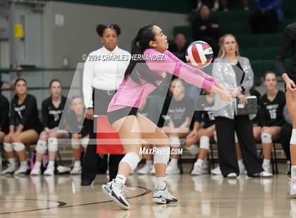 Thumbnail 3 in Stratford vs. Vandegrift (UIL 6A Volleyball Division II Semifinal) photogallery.