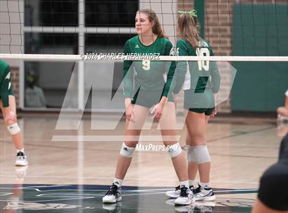 Thumbnail 1 in Stratford vs. Vandegrift (UIL 6A Volleyball Division II Semifinal) photogallery.