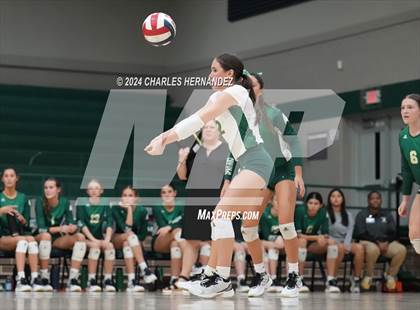 Thumbnail 2 in Stratford vs. Vandegrift (UIL 6A Volleyball Division II Semifinal) photogallery.