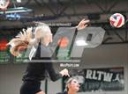 Photo from the gallery "Stratford vs. Vandegrift (UIL 6A Volleyball Division II Semifinal)"