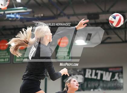 Thumbnail 1 in Stratford vs. Vandegrift (UIL 6A Volleyball Division II Semifinal) photogallery.