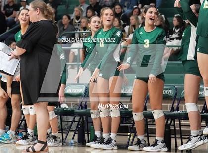 Thumbnail 1 in Stratford vs. Vandegrift (UIL 6A Volleyball Division II Semifinal) photogallery.