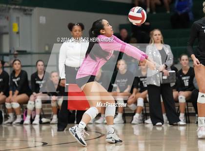 Thumbnail 1 in Stratford vs. Vandegrift (UIL 6A Volleyball Division II Semifinal) photogallery.