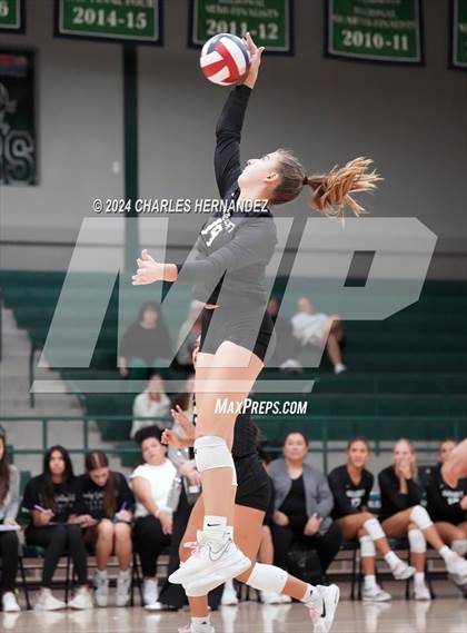Thumbnail 1 in Stratford vs. Vandegrift (UIL 6A Volleyball Division II Semifinal) photogallery.