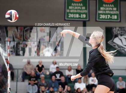 Thumbnail 2 in Stratford vs. Vandegrift (UIL 6A Volleyball Division II Semifinal) photogallery.