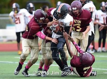 Thumbnail 3 in White Plains @ Arlington photogallery.