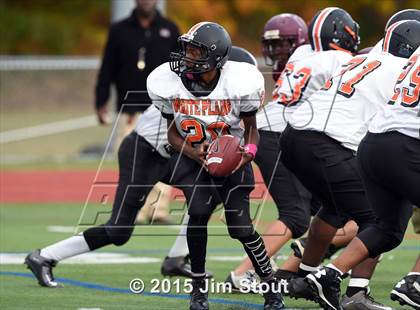 Thumbnail 1 in White Plains @ Arlington photogallery.