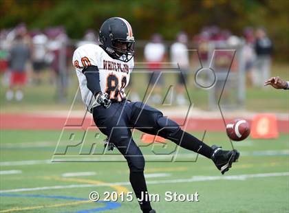 Thumbnail 3 in White Plains @ Arlington photogallery.