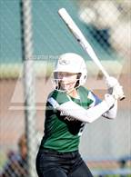 Photo from the gallery "Rio Americano @ Laguna Creek"