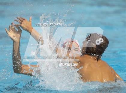 Thumbnail 1 in Burroughs @ Crespi photogallery.